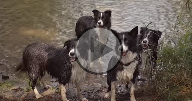 Playing in The Water