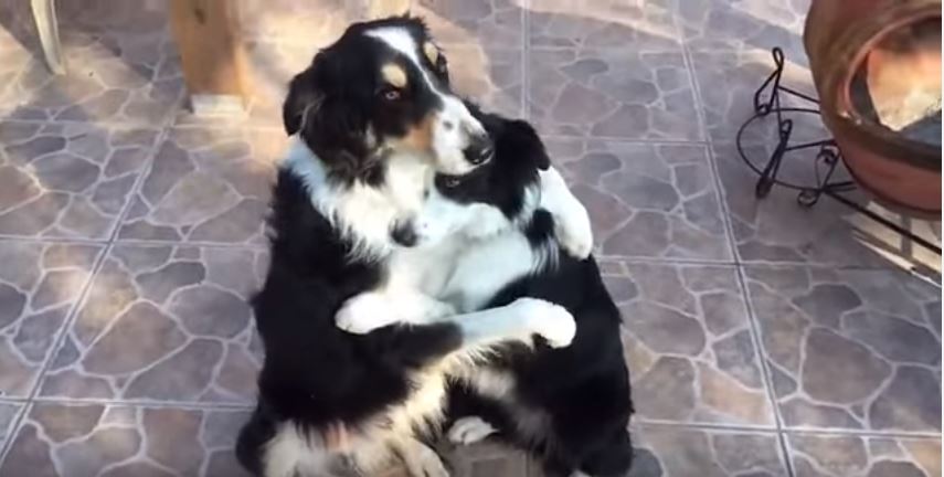 The Cutest Hug Ever!