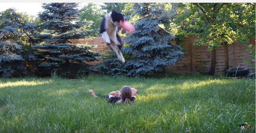 Frisbee Time With Maya!