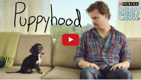 Puppyhood is A Truly Adorable Video