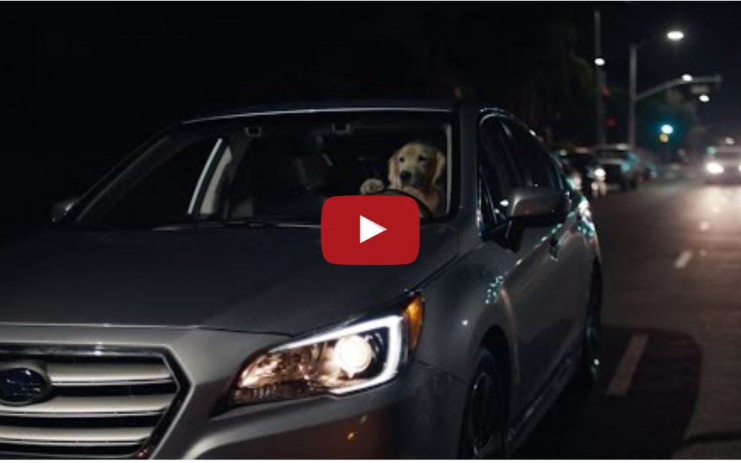 Great Subaru Commercial For All You Parents Out There