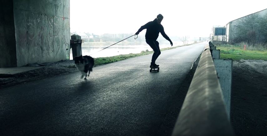 Border Collie Longboarding