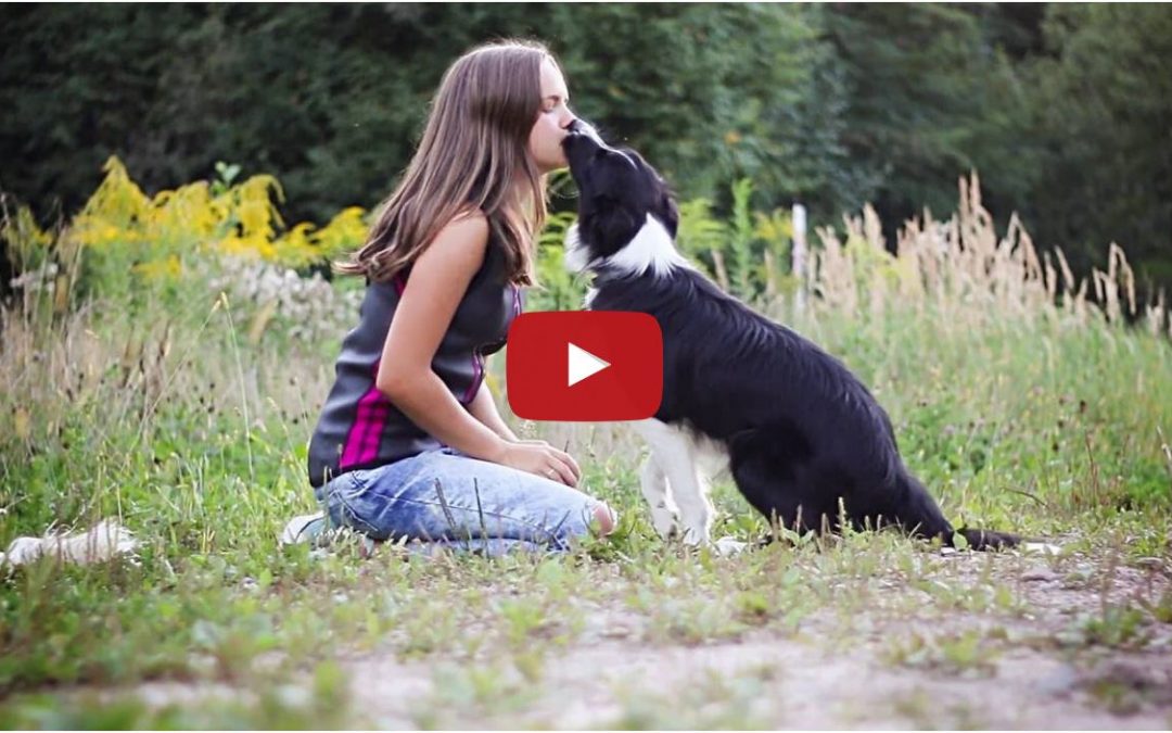 Great Tricks Video Featuring Shadow the Border Collie