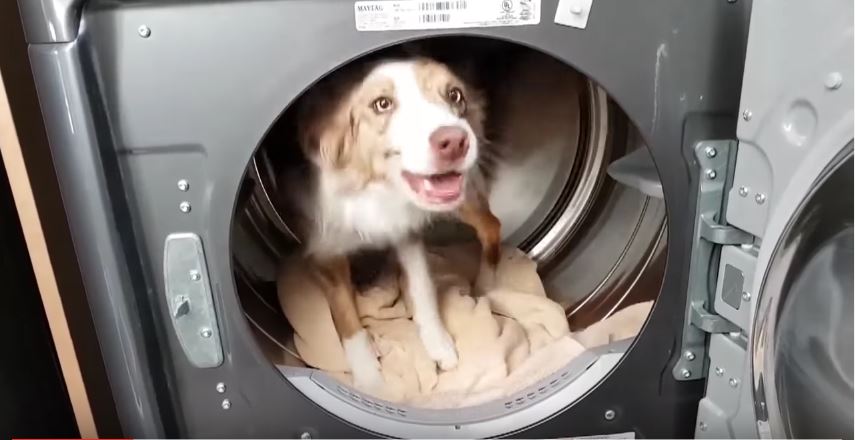 Laundry Helper