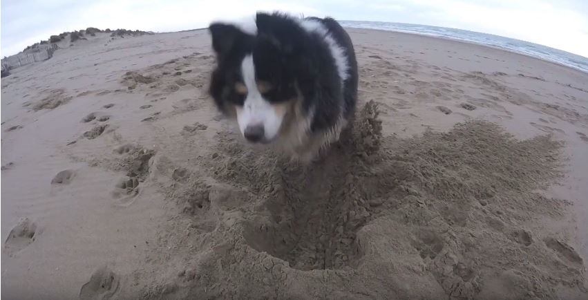 A Moment On The Beach